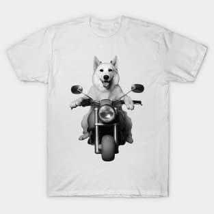 Biker Dog on Motorcycle T-Shirt